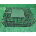 Wielokrotnego użytku Humane Live Animal Catch Cage Pułapka
